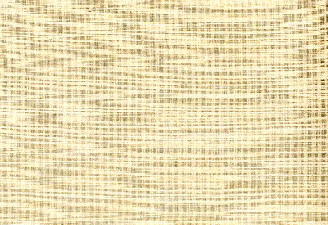 Picture of ARGON WC-SESAME