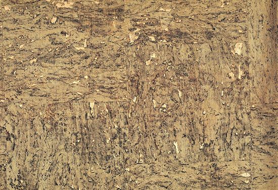 Picture of CAVERN WC-MOUSSE