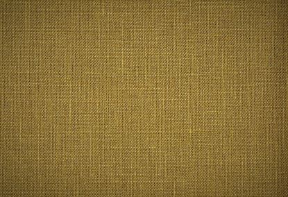 Picture of EDGECOMB WC-NUGGET