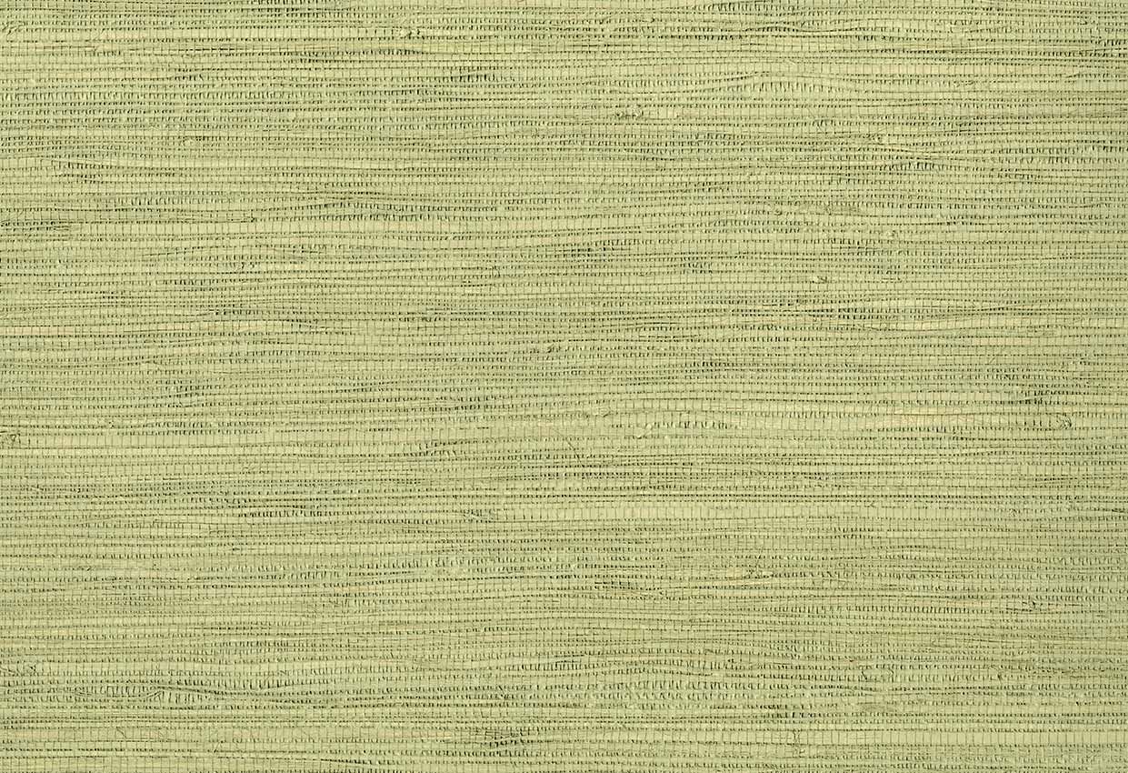 Picture of YORK WC-EDAMAME