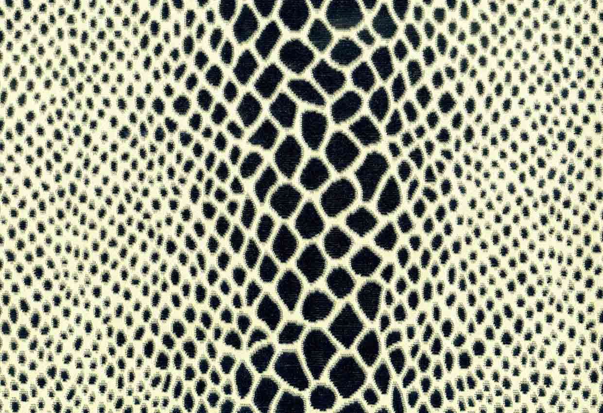 Picture of stapleford-navy