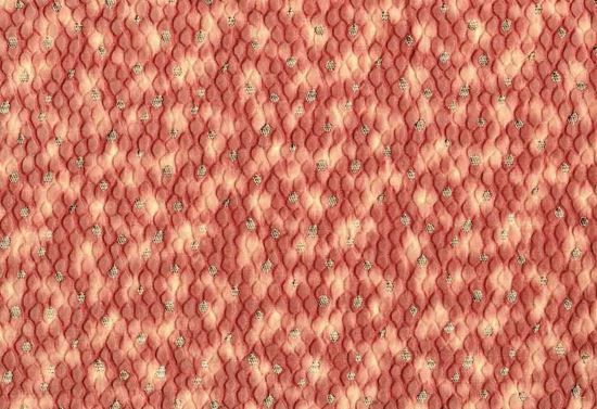 Picture of MANCHESTER-BLUSH