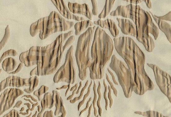 Picture of NANCY-LATTE