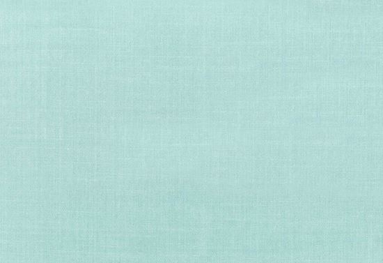 Picture of CLYDE-OASIS