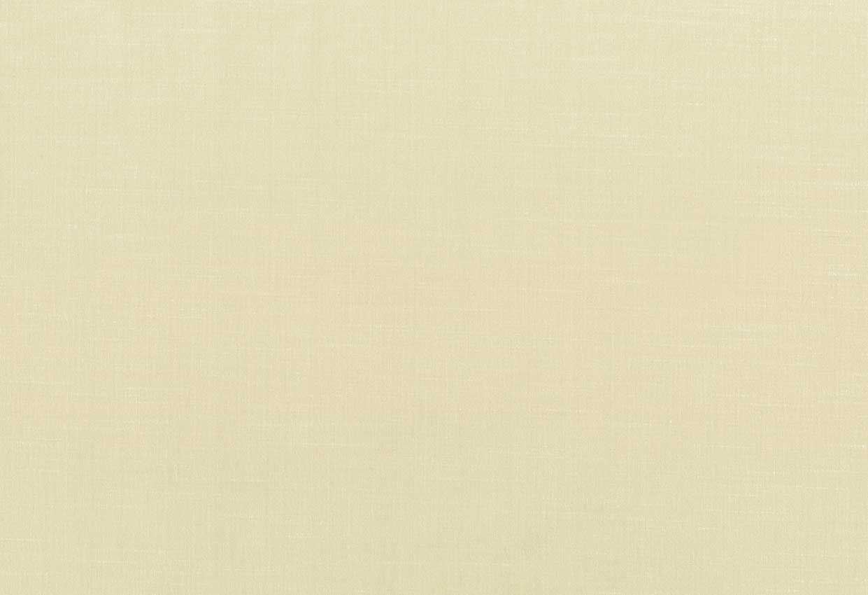 Picture of CLYDE-TAN