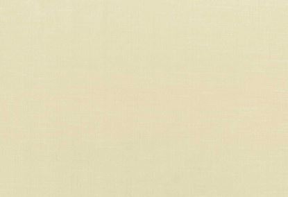 Picture of CLYDE-TAN