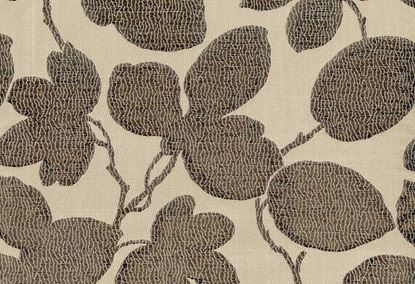 Picture of KAURI-COCOA