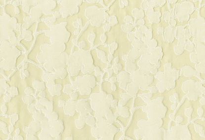 Picture of TAPU-CHAMPAGNE