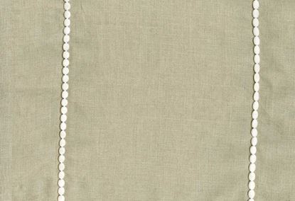 Picture of PISA-NATURAL