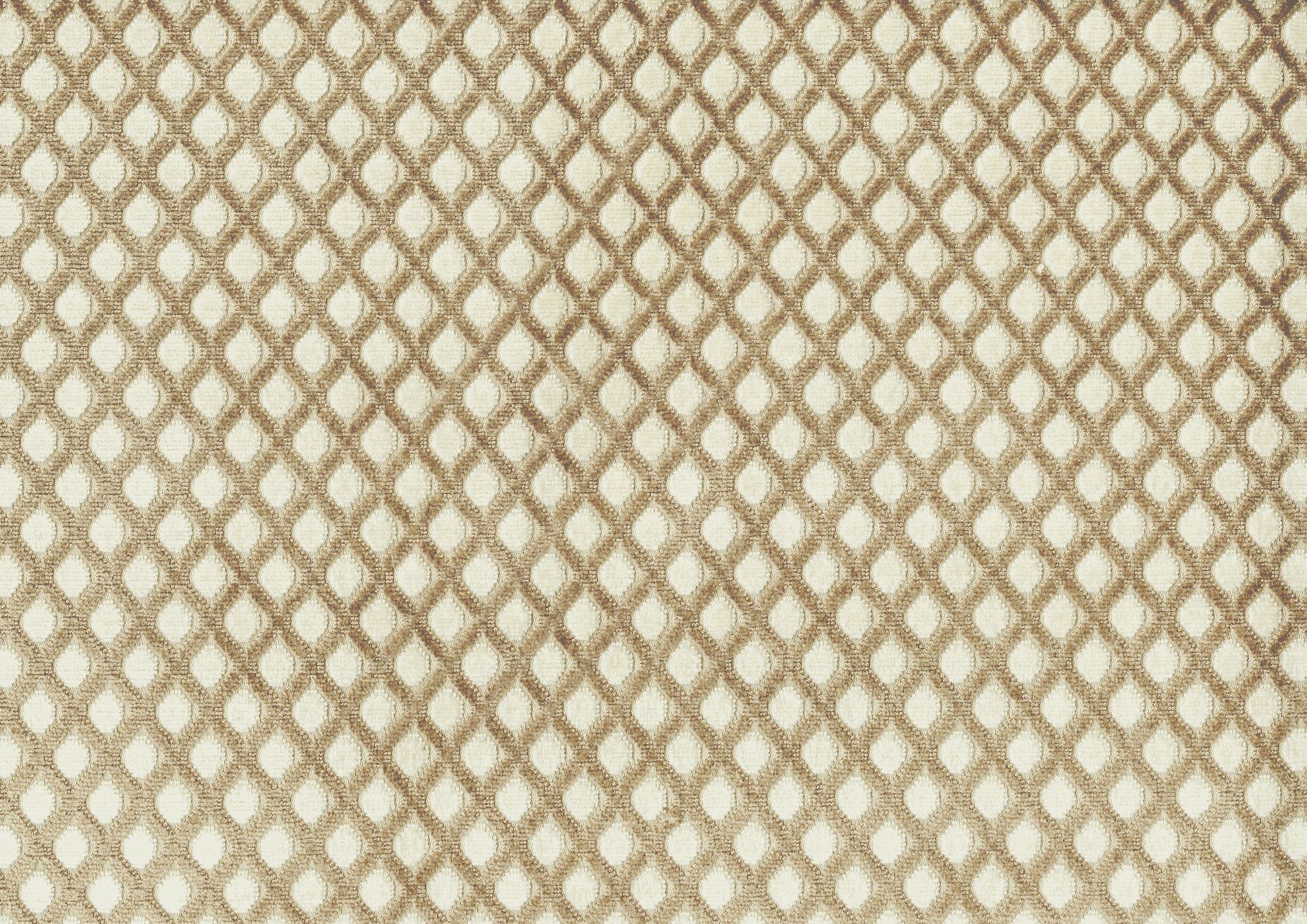 Picture of CAREN-CAFE