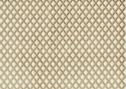 Picture of CAREN-CAFE