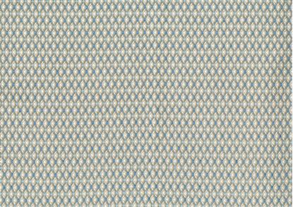 Picture of EDWARD-SKY