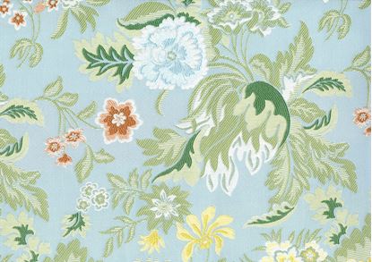 Picture of IVY-BLUE JAY