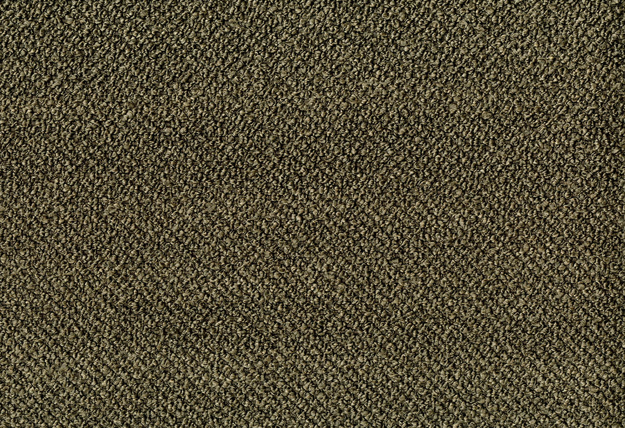 Picture of ALPACA-MUSHROOM