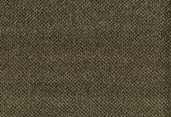 Picture of ALPACA-MUSHROOM