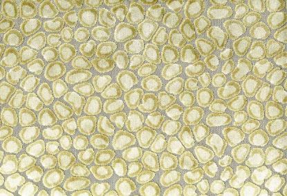 Picture of CLIO-CHAMPAGNE