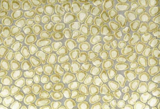 Picture of CLIO-CHAMPAGNE