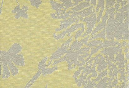 Picture of PERLA-MINT