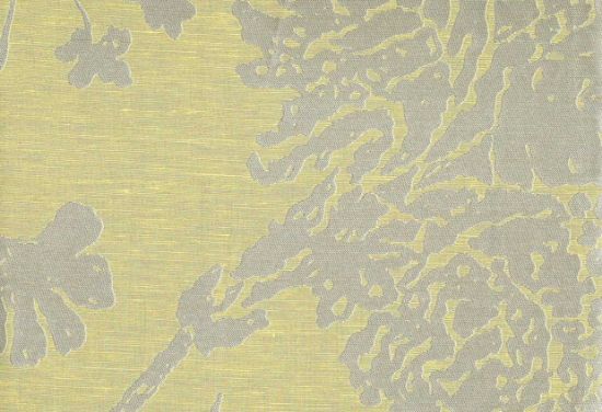 Picture of PERLA-MINT