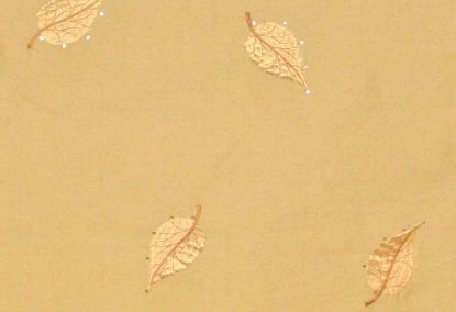 Picture of STARLEAF-CREAM