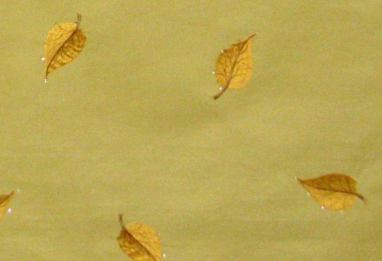 Picture of STARLEAF-GOLD