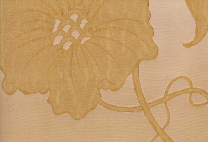 Picture of TAYLOR-GOLD