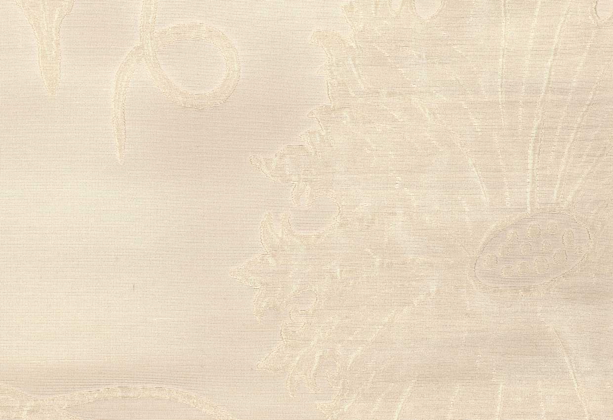 Picture of TAYLOR-OYSTER