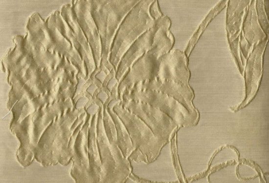 Picture of TAYLOR-SAGE