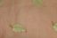 Picture of STARLEAF-WINE