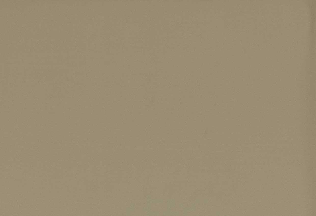 Picture of TURKS-FOREST