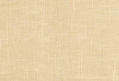 Picture of JASMINE-STUCCO