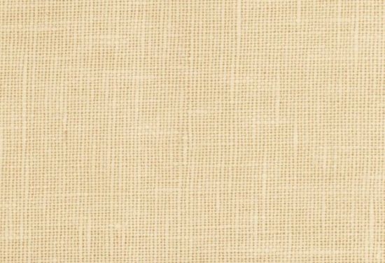 Picture of JASMINE-STUCCO