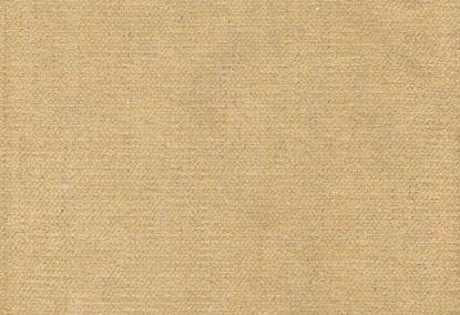 Picture of STELLA-GOLD