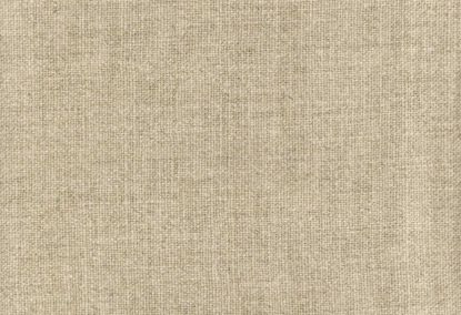 Picture of ARIEL-FLAX