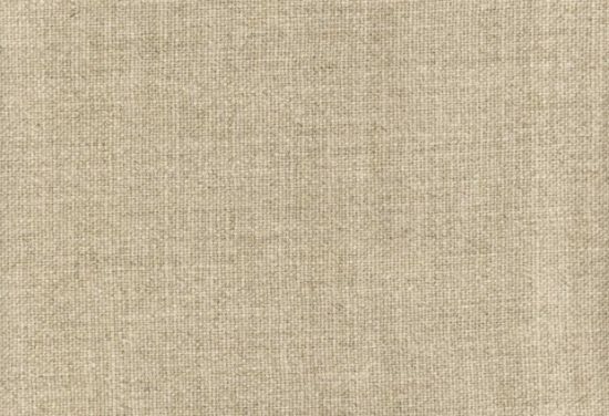 Picture of ARIEL-FLAX