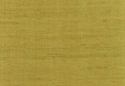 Picture of BARBADOS-139