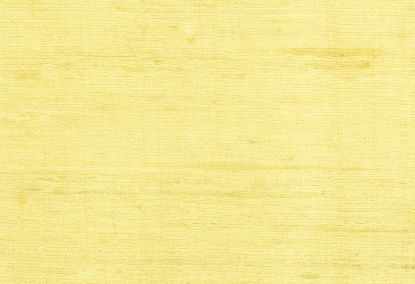 Picture of BARBADOS-102