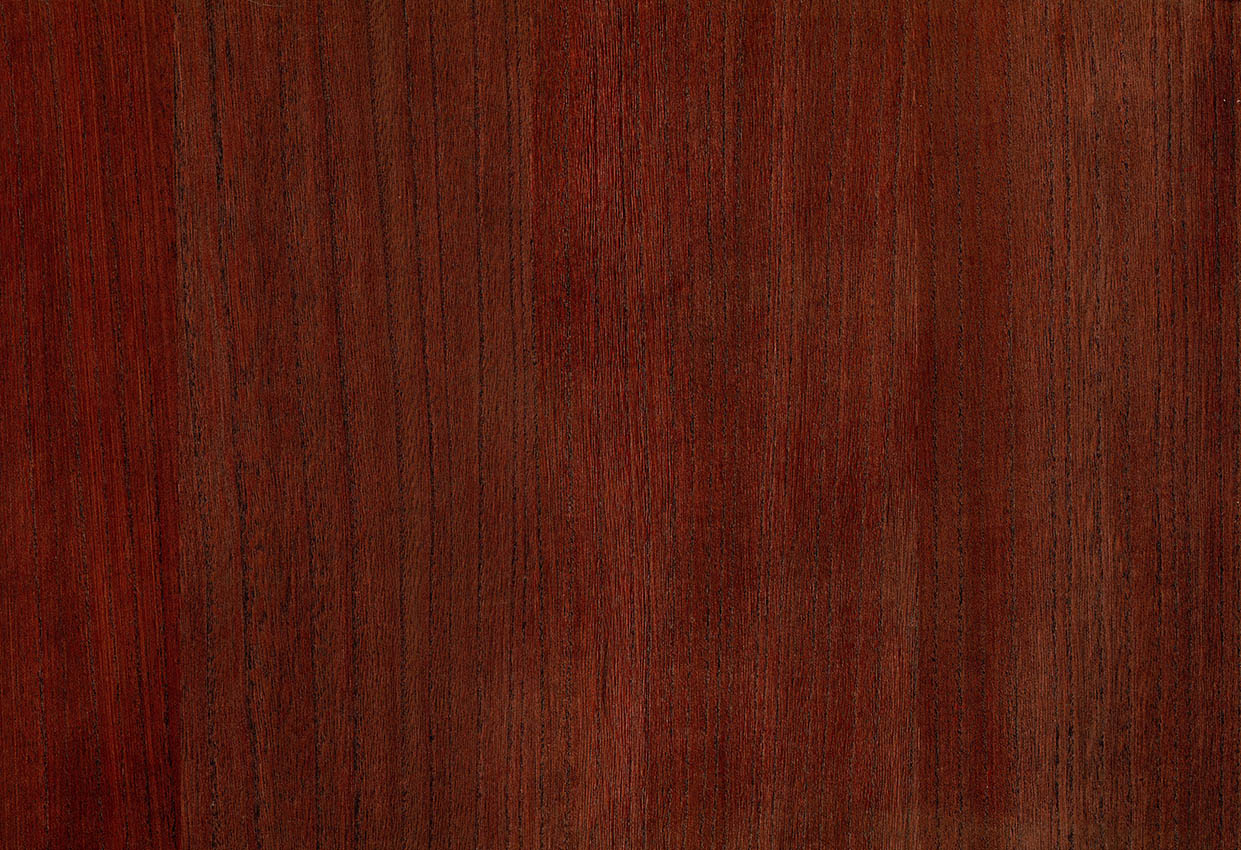 Picture of BIRCH WC-SPICE