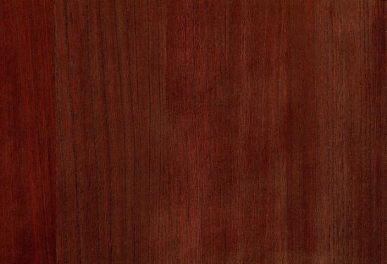 Picture of BIRCH WC-SPICE