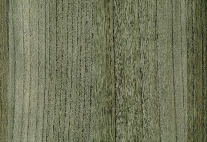 Picture of BIRCH WC-LAUREL