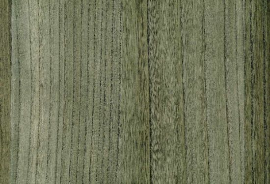 Picture of BIRCH WC-LAUREL