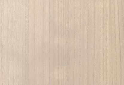 Picture of BIRCH WC-PUTTY