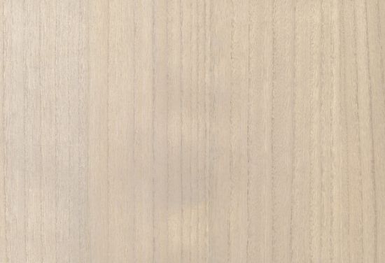 Picture of BIRCH WC-PUTTY