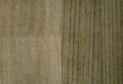 Picture of BIRCH WC-SHIITAKE