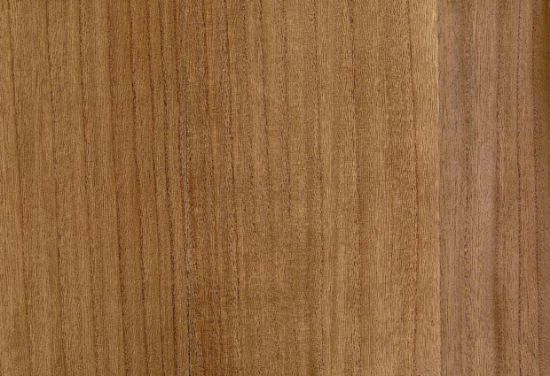 Picture of BIRCH WC-SUEDE