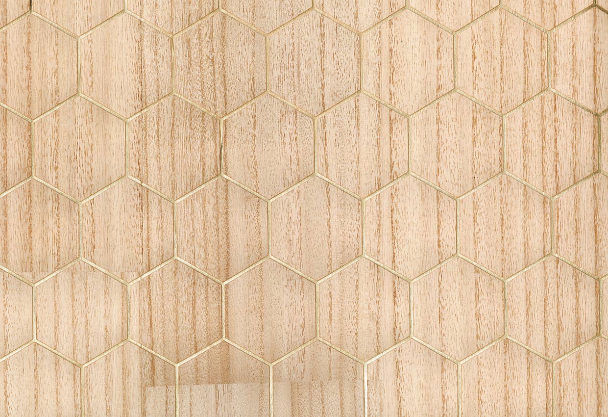 Picture of PADANG WC-BIRCH