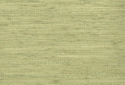 Picture of YORK WC-EDAMAME