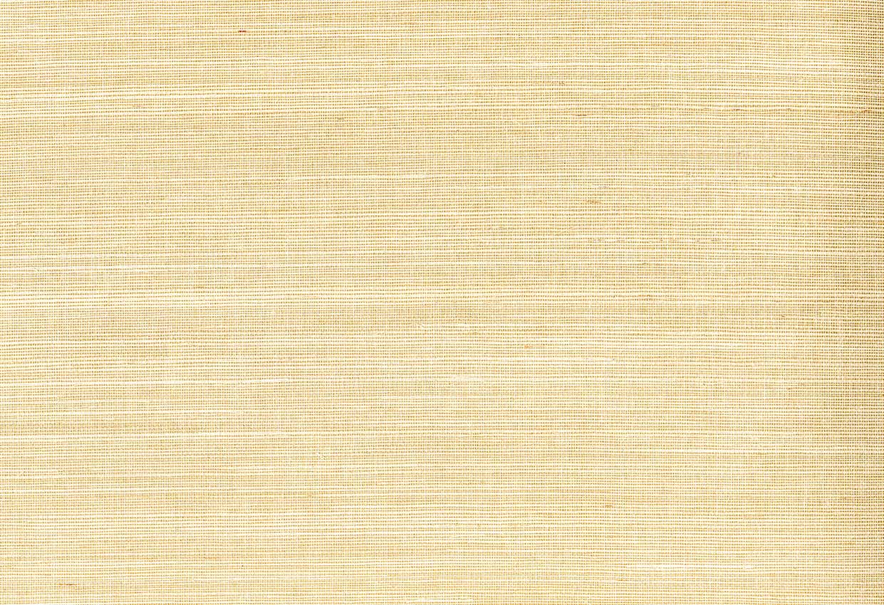 Picture of ARGON WC-SESAME