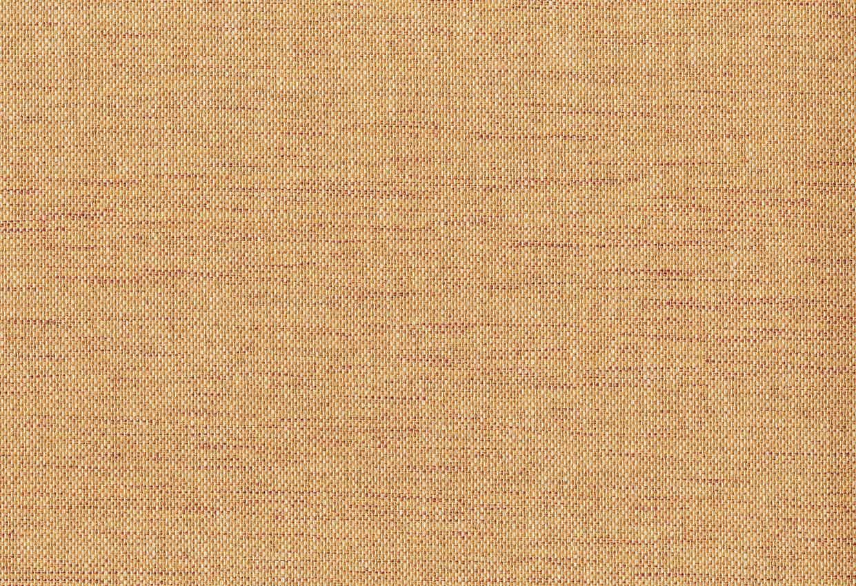 Picture of MYOSS WC-DUNE