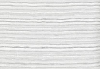 Picture of JALAN WC-SILVERLINING